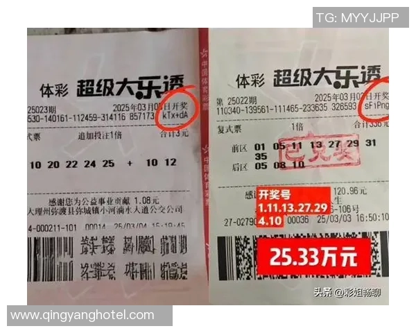 揭秘真人大乐透中奖号码背后的秘密与技巧分析