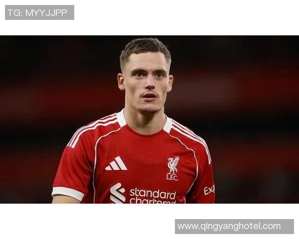 维尔茨转会费136亿究竟值不值勒沃库森能赚多少你绝对想不到