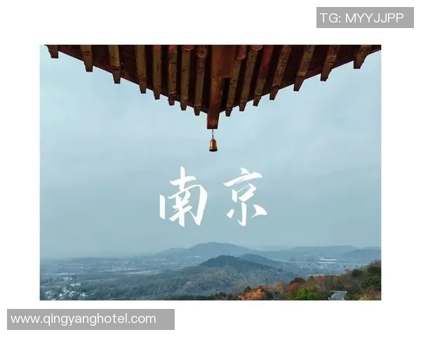 探索vs5南京的魅力与潜力揭示城市发展的新机遇与挑战